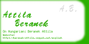 attila beranek business card